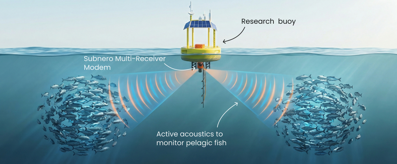 Active Sonar for 3D Fish Tracking