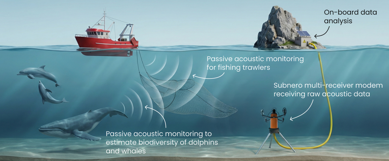 Passive Acoustic Monitoring & Tracking of Marine Mammals and Trawlers