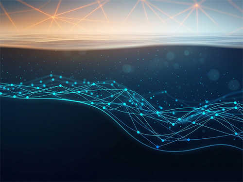 The most important infrastructure of the digital age sits out of sight, on the seabed.