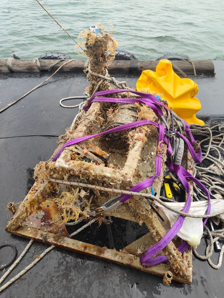 The lander on recovery