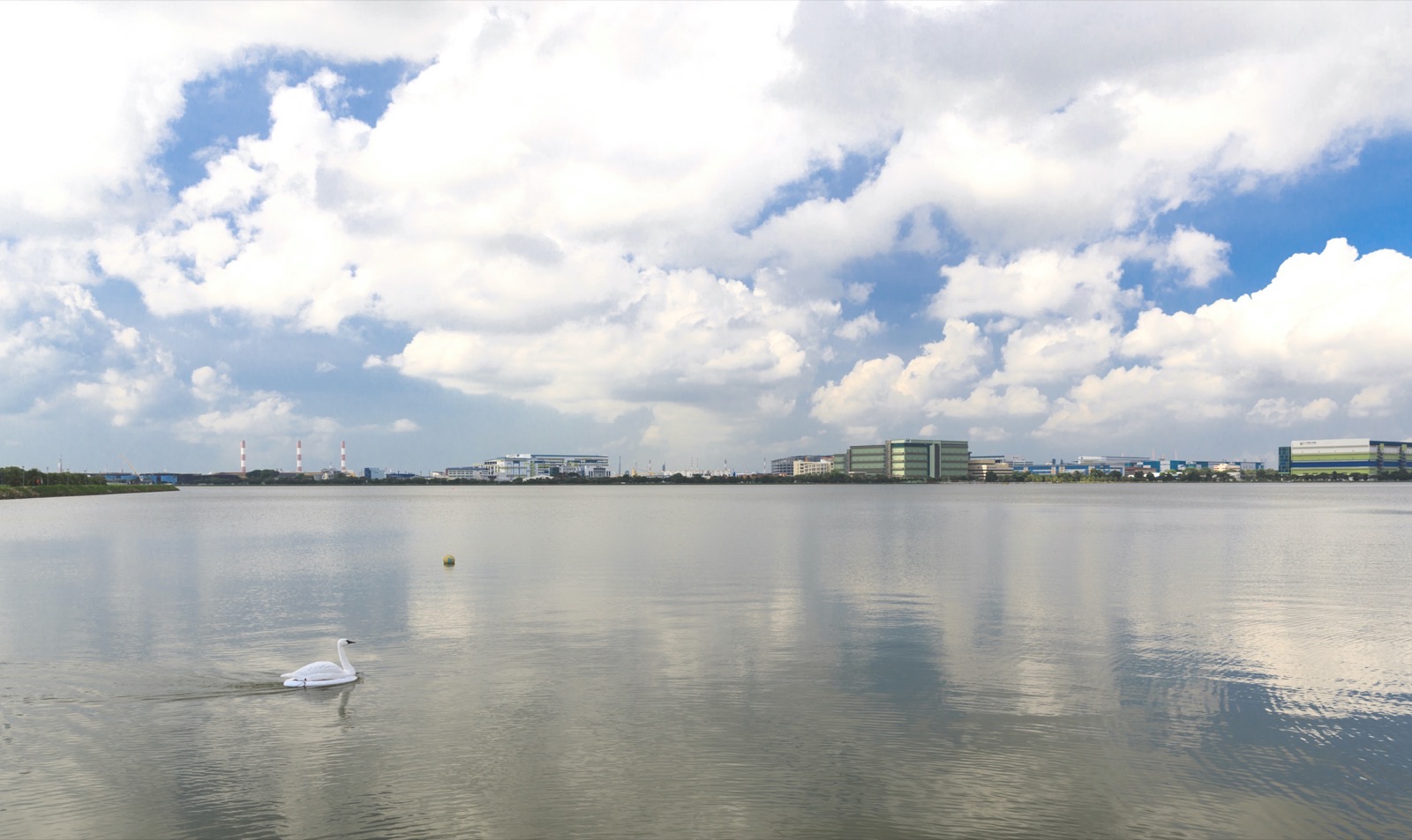 SWAN robot deployed in water
