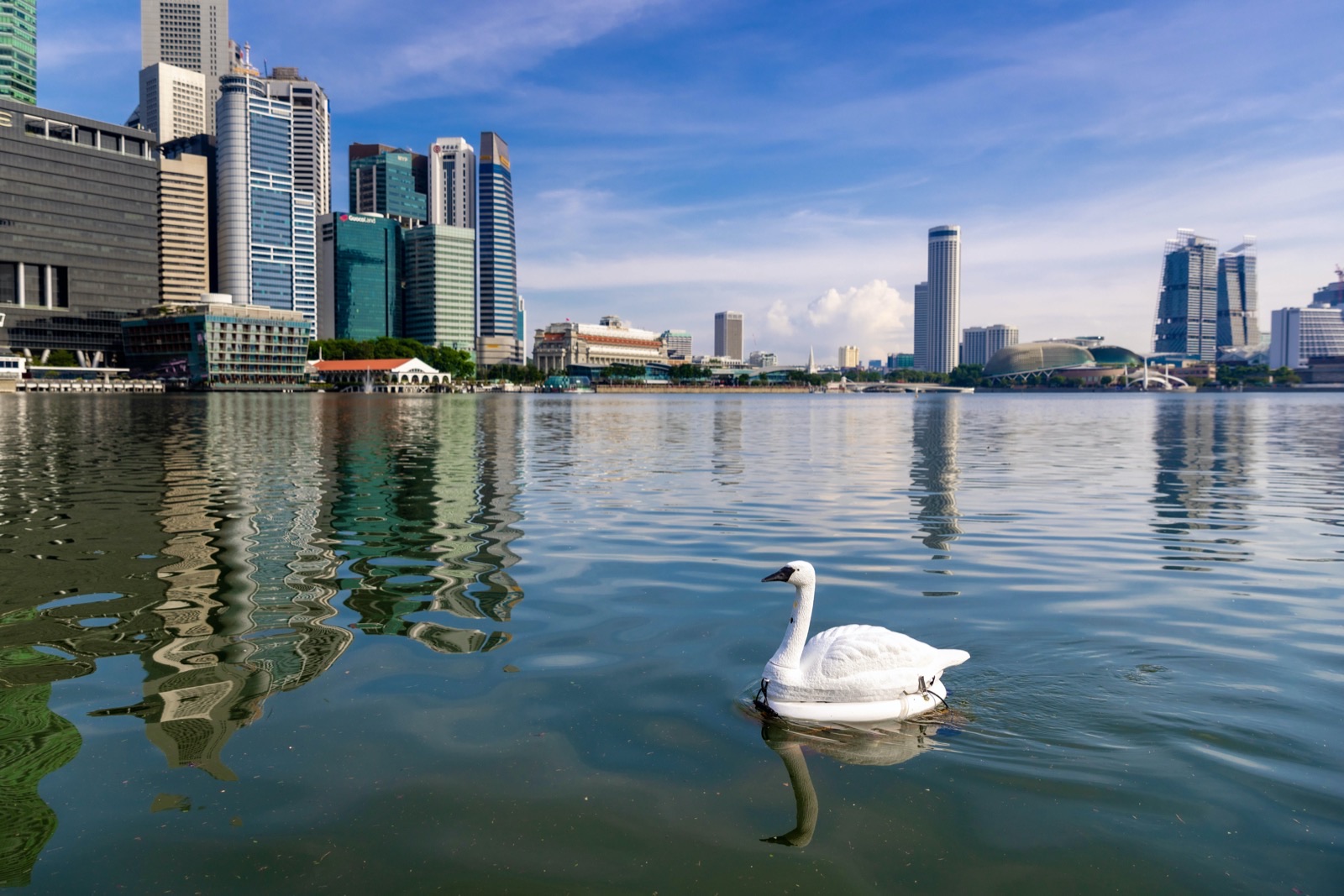 SWAN robot monitoring water quality at a marina